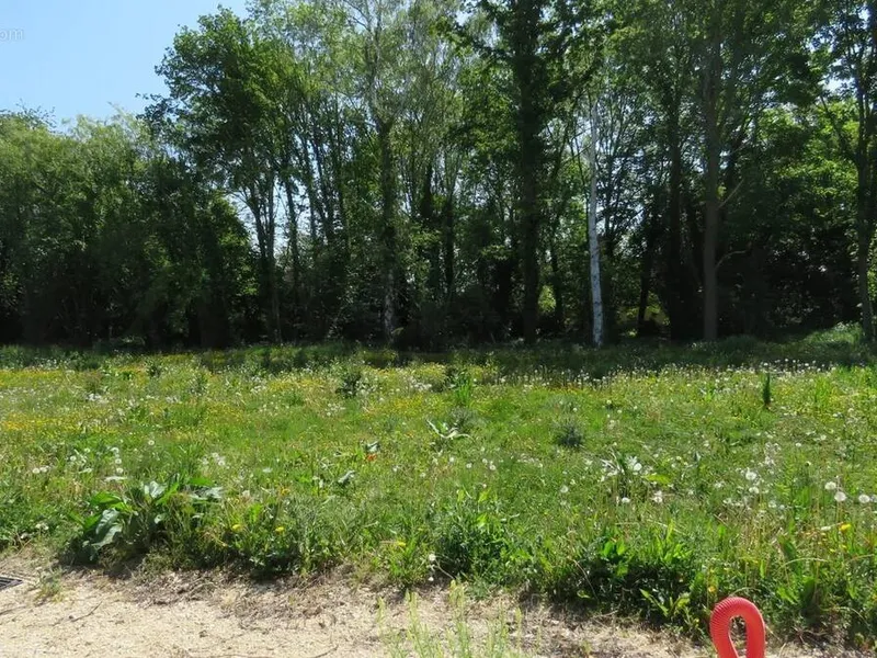 Photo Terrain à Mittainville au prix de 123 000€