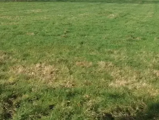 Photo Terrain à Moulins-La-Marche au prix de 15 500€