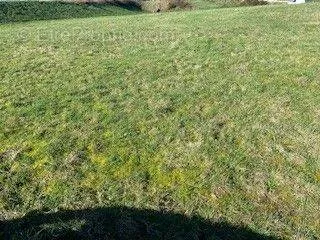 Photo Terrain à Elven au prix de 86 000€