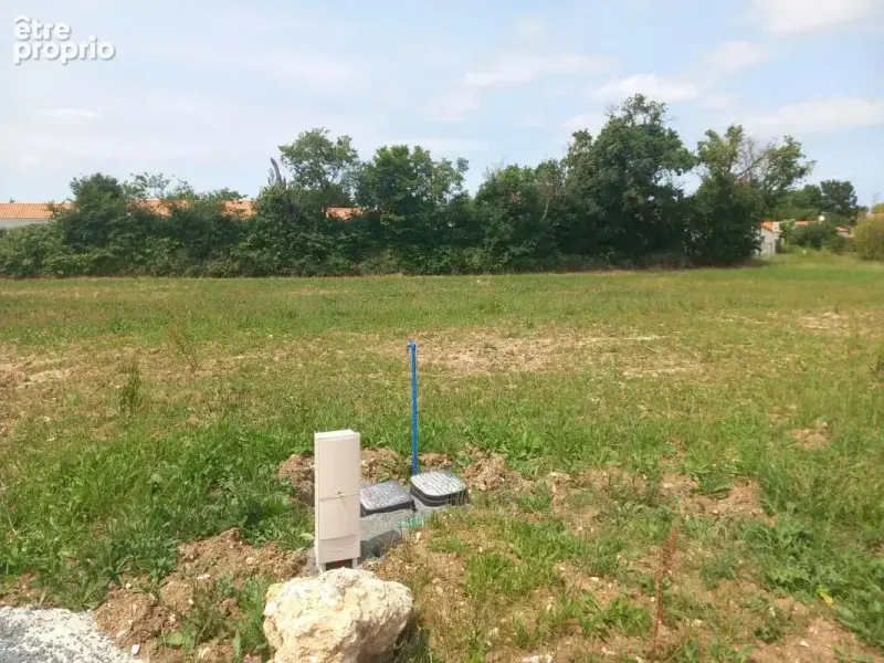 Photo Terrain à Anais au prix de 55 900€
