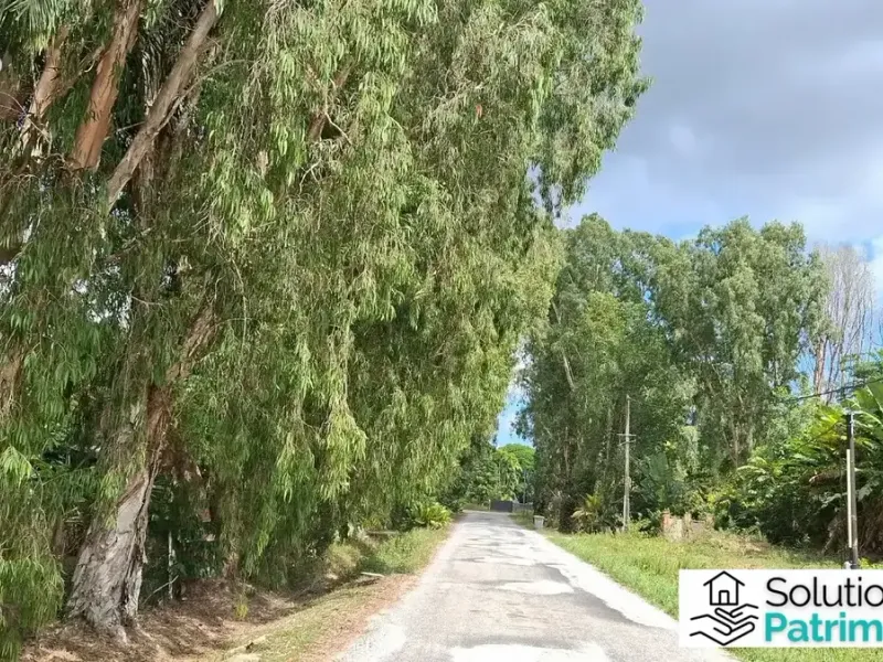 Photo Terrain à Montsinery-Tonnegrande au prix de 267 500€
