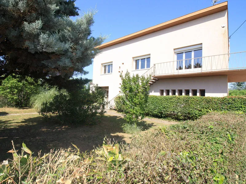 Photo Maison à Montauban au prix de 230 000€