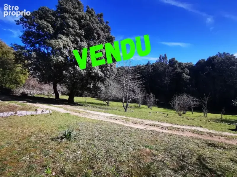 Photo Maison à Quenza au prix de 315 000€