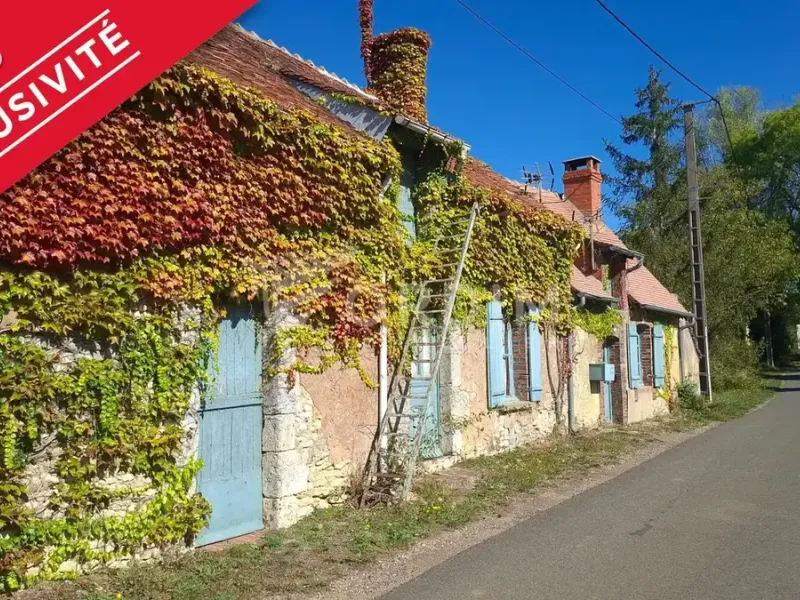 Photo Maison à Treigny au prix de 49 900€