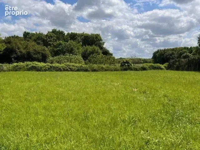 Photo Terrain à Chaille-Les-Marais au prix de 29 110€