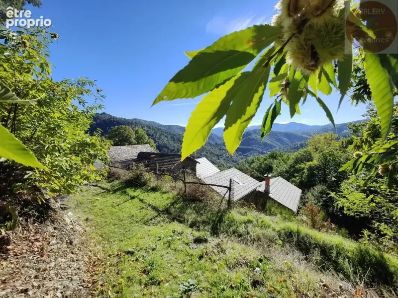 Photo Maison à Saint-Privat-De-Vallongue au prix de 244 000€