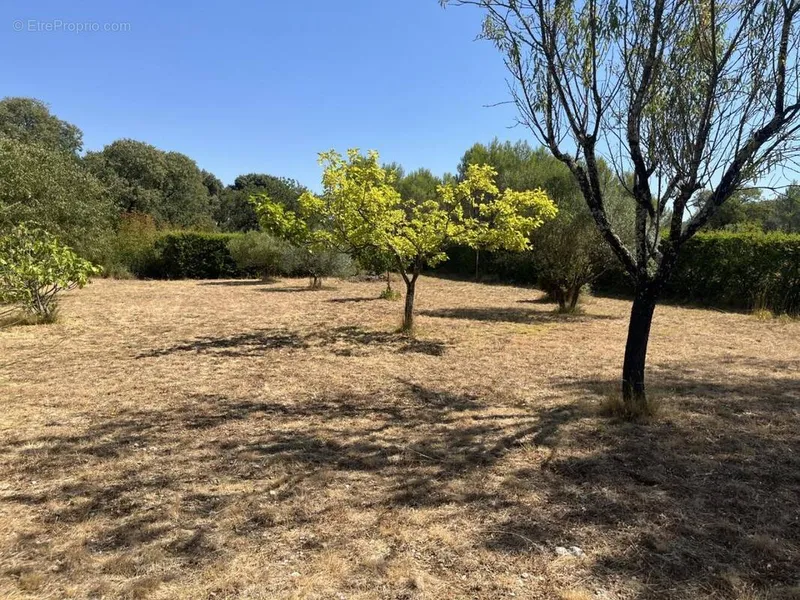 Photo Terrain à Sainte-Croix-De-Quintillargues au prix de 249 000€