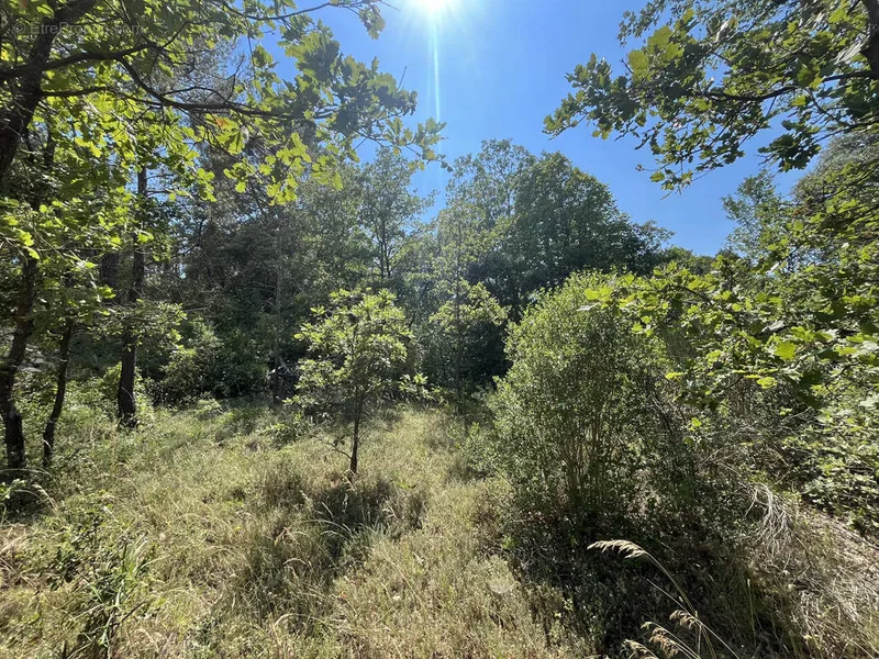 Photo Terrain à Saint-Maximin-La-Sainte-Baume au prix de 219 000€