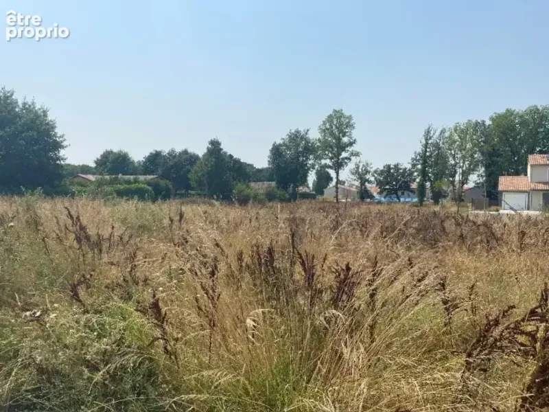 Photo Terrain à Saint-Sardos au prix de 35 000€