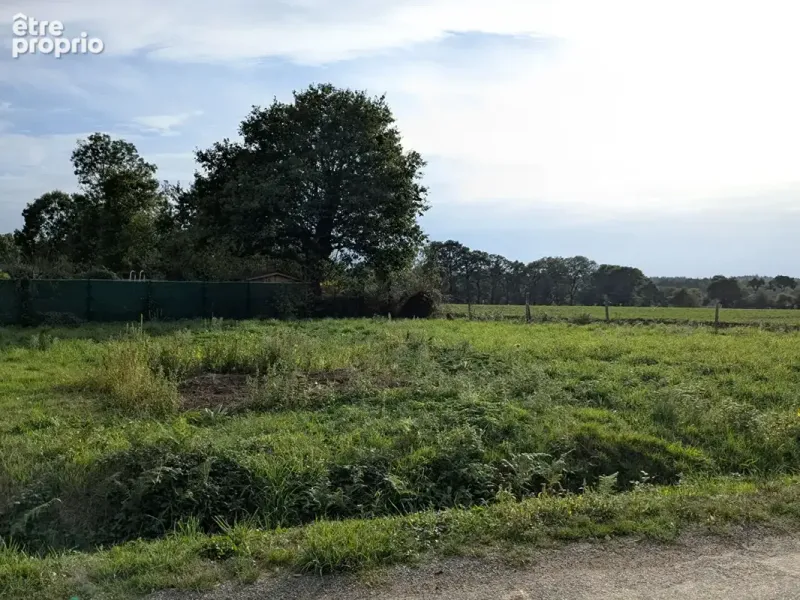 Photo Terrain à Saint-Guyomard au prix de 64 520€