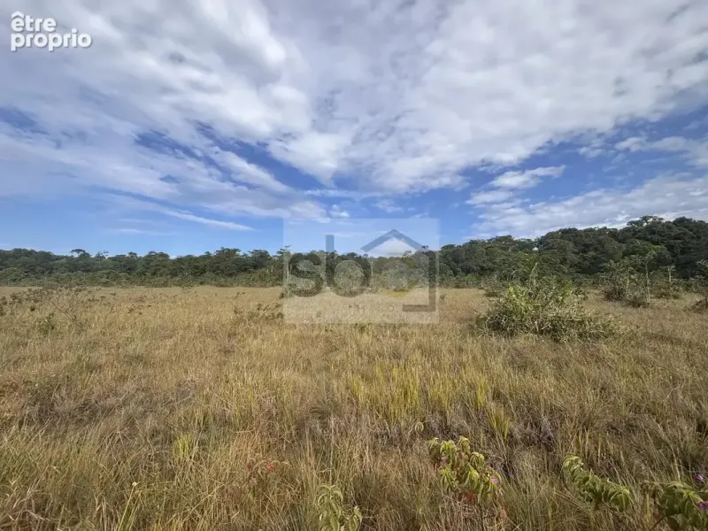 Photo Terrain à Montsinery-Tonnegrande au prix de 96 600€
