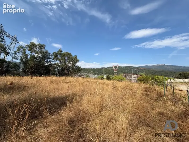 Photo Terrain à Lucciana au prix de 618 000€