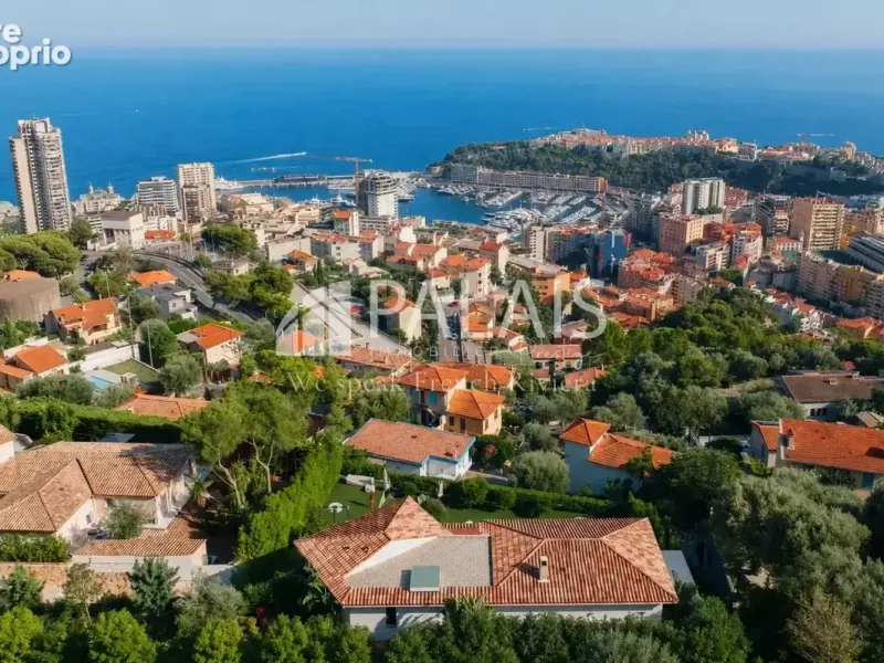 Photo Maison à Beausoleil au prix de 6 500 000€