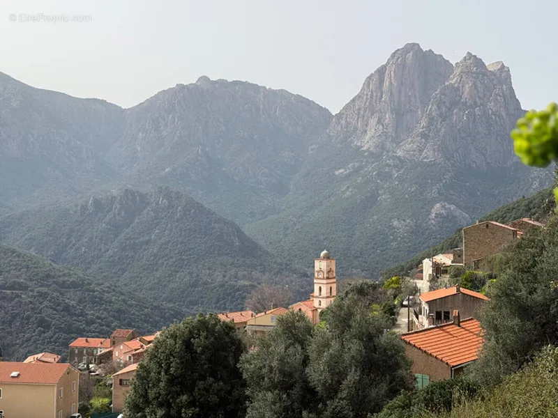 Photo Terrain à Ota au prix de 110 000€