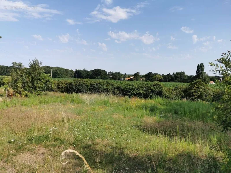 Photo Terrain à Angoulins au prix de 310 000€