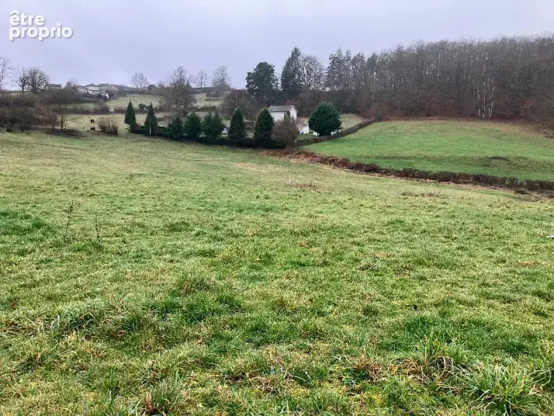 Photo Terrain à Lacapelle-Viescamp au prix de 33 500€