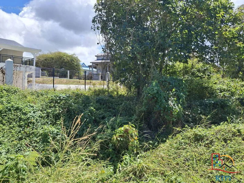 Photo Terrain à Le Moule au prix de 250 000€