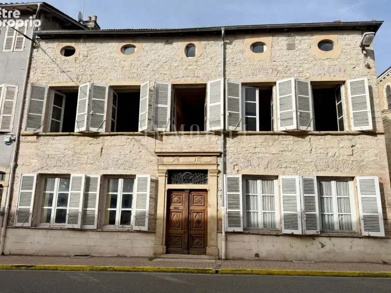 Photo Maison à Thoissey au prix de 390 000€