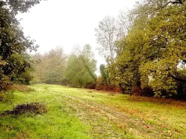 Photo Terrain à Saint-Denis-De-Pile au prix de 60 000€