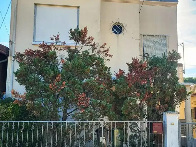 Photo Maison à Bordeaux au prix de 369 000€