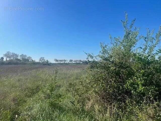 Photo Terrain à Castillon-Du-Gard au prix de 10 000€