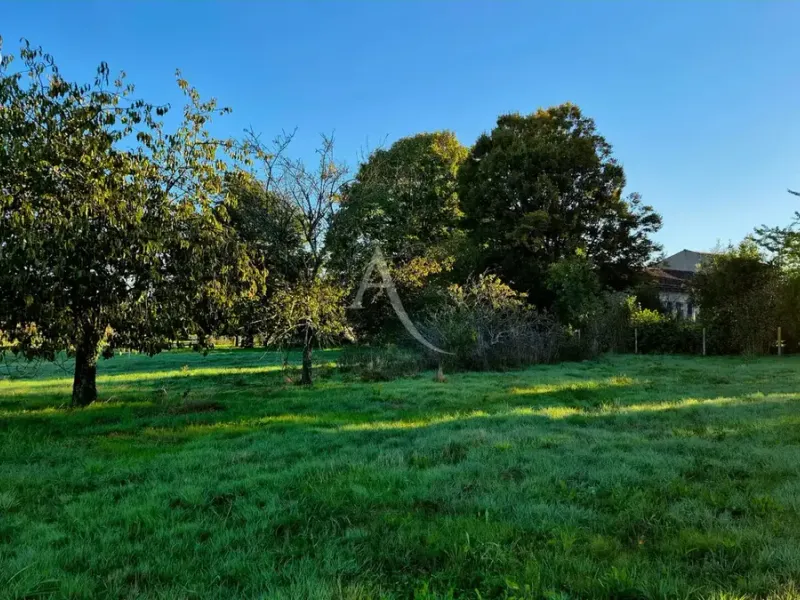 Photo Terrain à Ecoyeux au prix de 35 000€