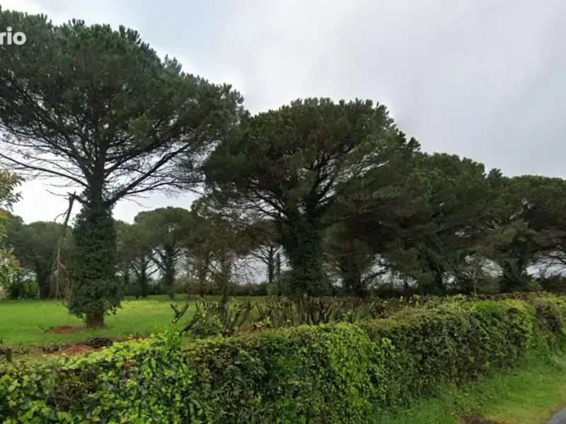 Photo Terrain à Saint-Maixant au prix de 73 150€