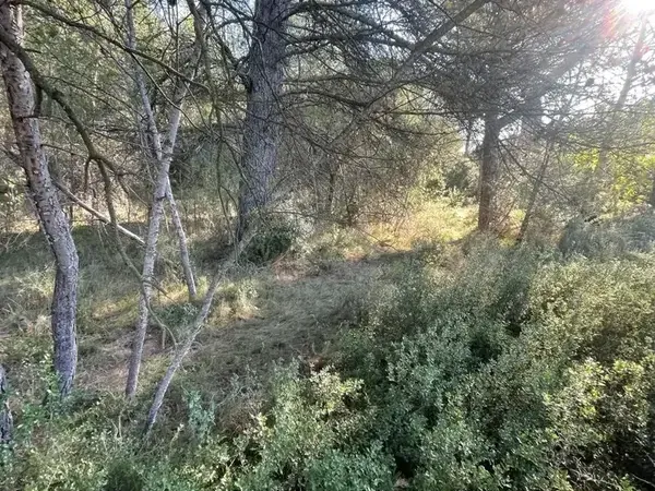 Photo Terrain à Lambesc au prix de 240 000€