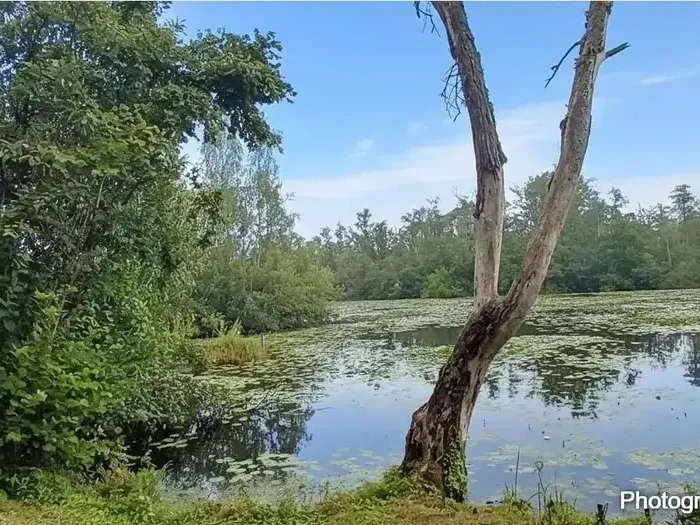 Photo Terrain à Peronne au prix de 66 500€