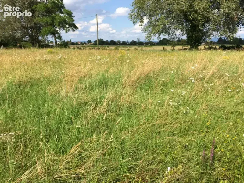 Photo Terrain à Bage-La-Ville au prix de 48 000€