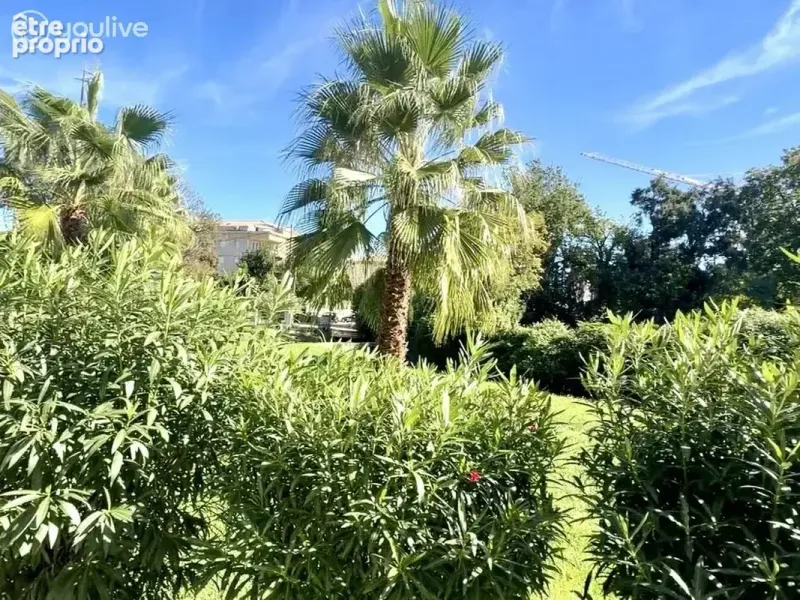 Photo Appartement à San-Nicolao au prix de 149 000€