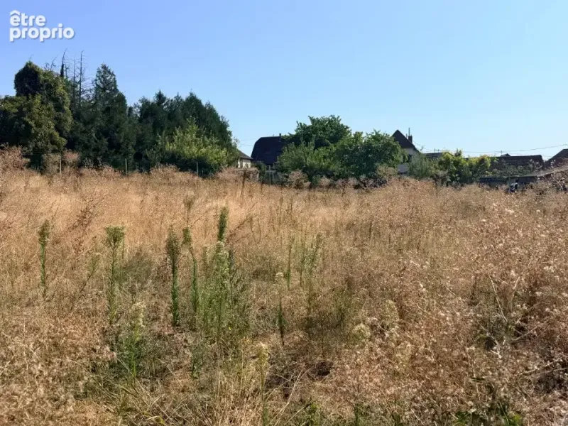 Photo Terrain à Schnersheim au prix de 243 789€