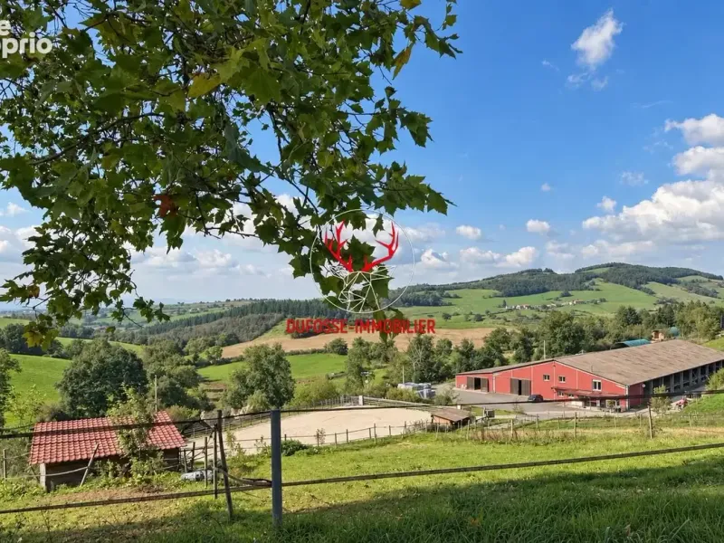 Photo Maison à Roanne au prix de 690 000€
