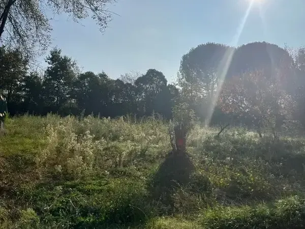 Photo Terrain à Albi au prix de 59 000€