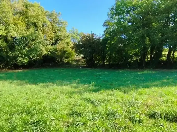 Photo Terrain à Pranzac au prix de 34 900€