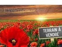 Photo Terrain à Rouvray au prix de 38 700€
