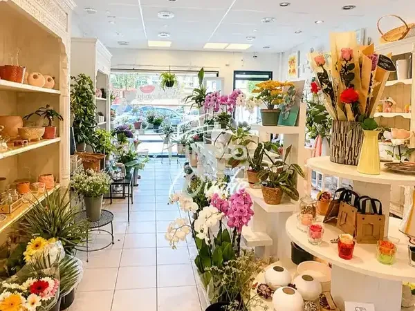 Photo Commerce à Fenouillet au prix de 30 000€