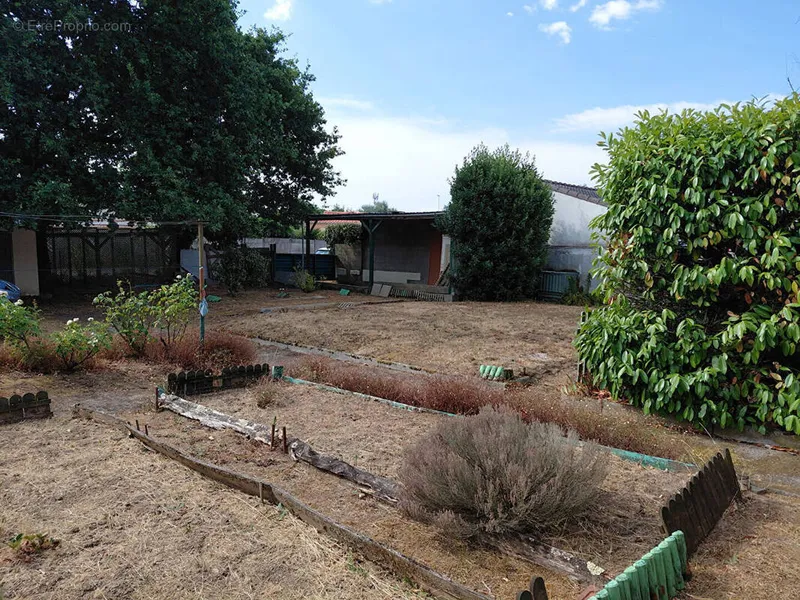 Photo Terrain à Le Pellerin au prix de 79 900€
