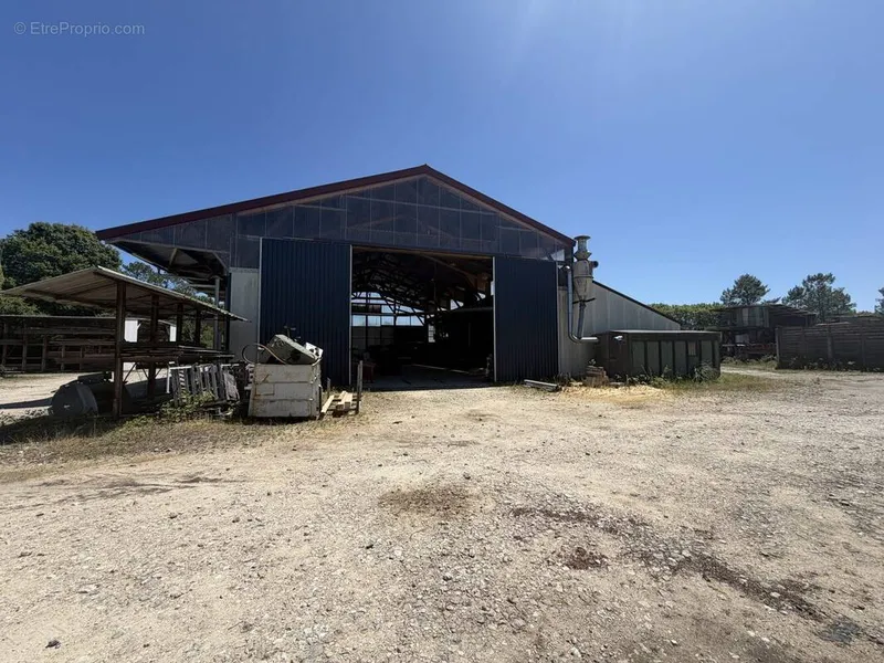 Photo Commerce à Pontonx-Sur-L'adour au prix de 525 000€