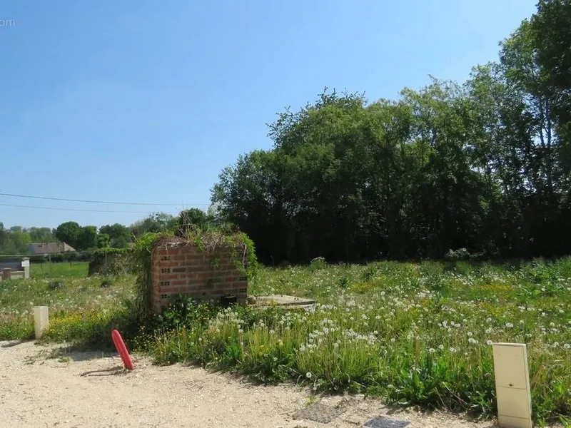 Photo Terrain à Mittainville au prix de 123 000€