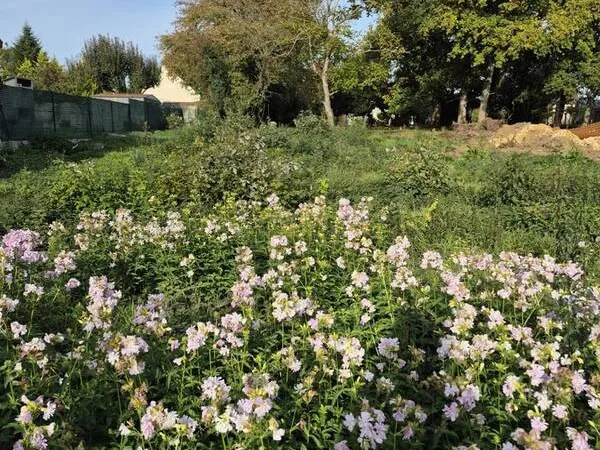 Photo Terrain à Bernay-Vilbert au prix de 132 000€