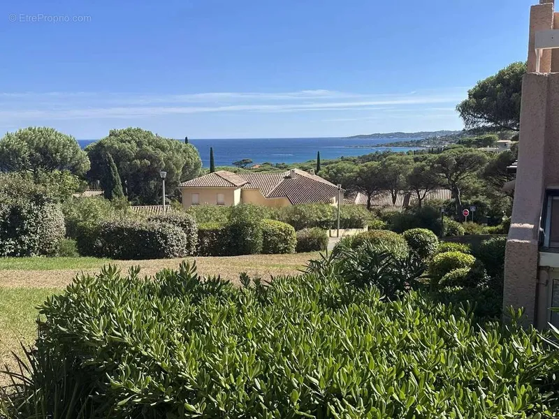Photo Appartement à Sainte-Maxime au prix de 224 000€