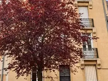 Photo Appartement à Laxou au prix de 120 000€