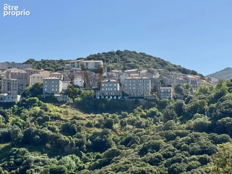 Photo Maison à Sartene au prix de 546 000€