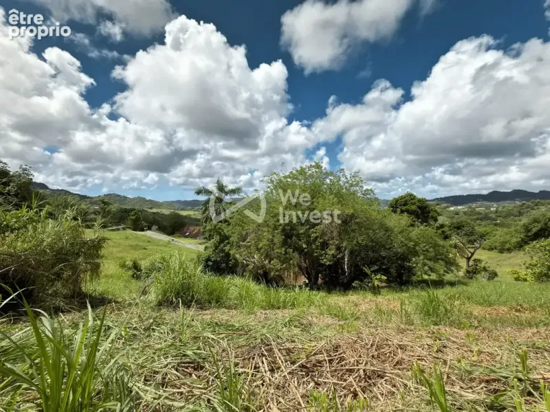Photo Terrain à Le Vauclin au prix de 100 000€