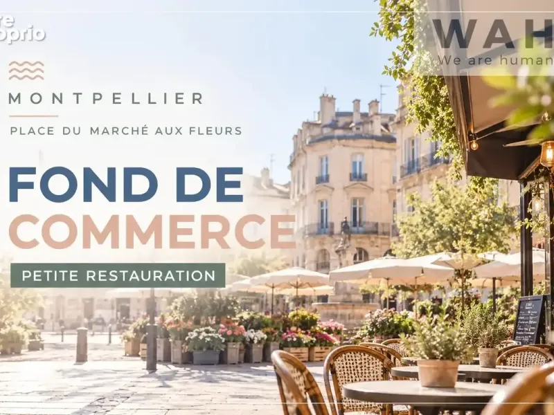 Photo Commerce à Montpellier au prix de 250 000€