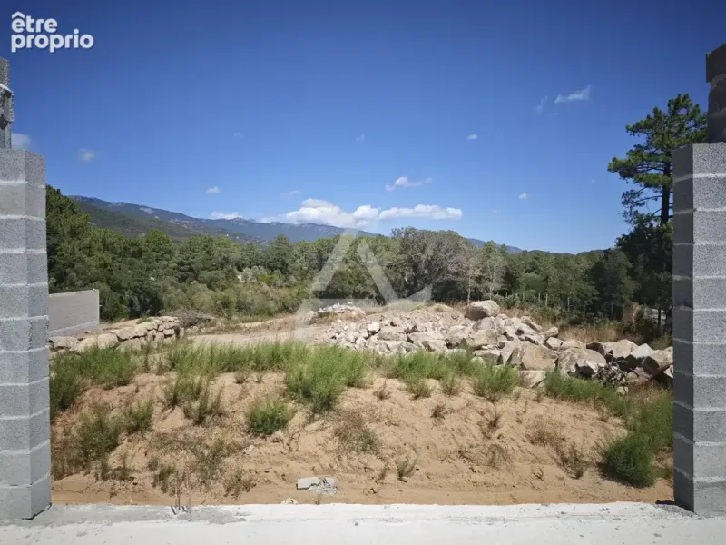 Photo Terrain à Sotta au prix de 350 000€