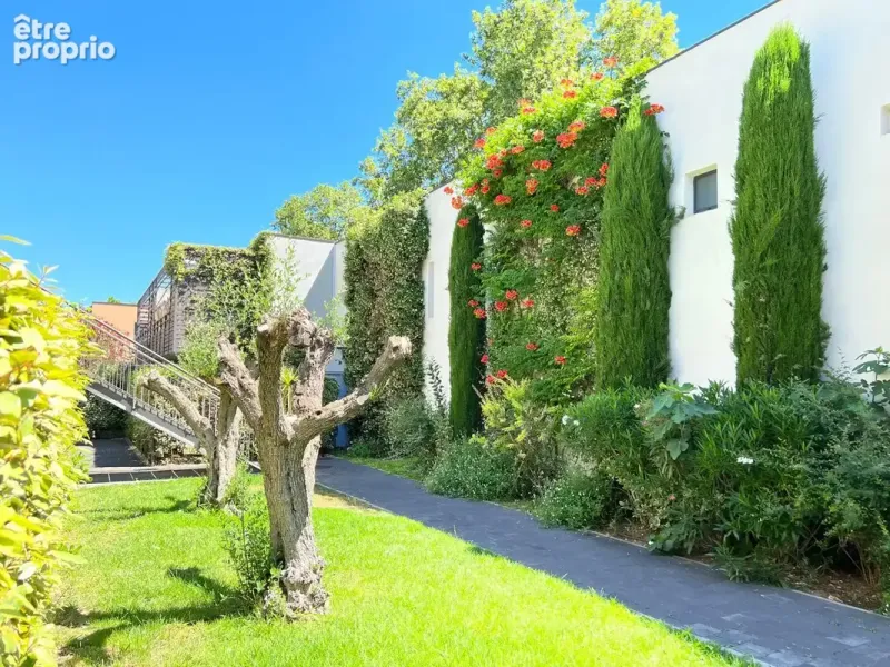 Photo Appartement à Montpellier au prix de 279 000€