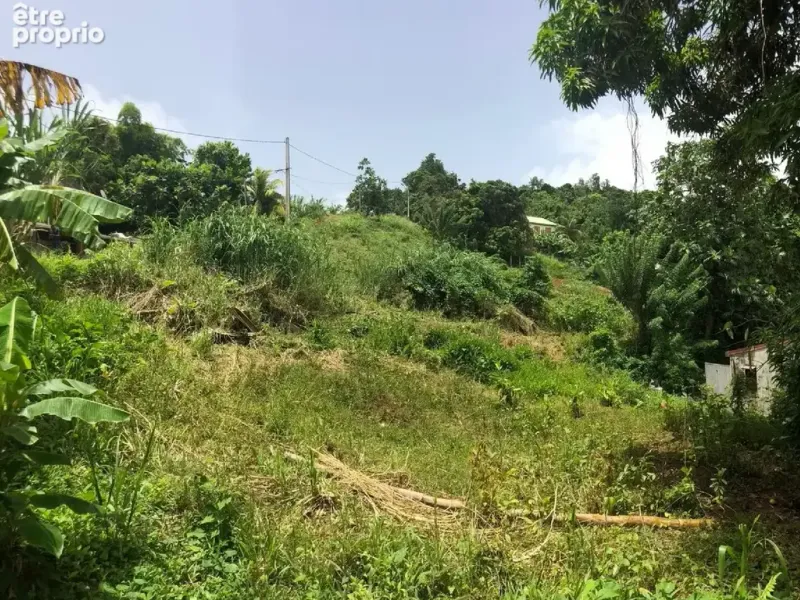 Photo Terrain à Le Francois au prix de 82 000€