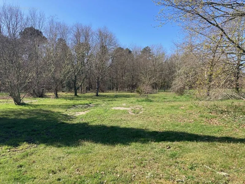 Photo Terrain à Biscarrosse au prix de 206 000€